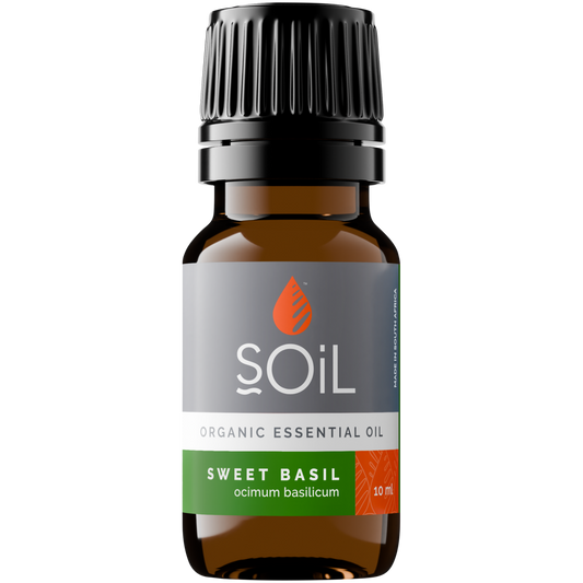 Organic Basil Essential Oil (Ocimum Basilicum) 10ml