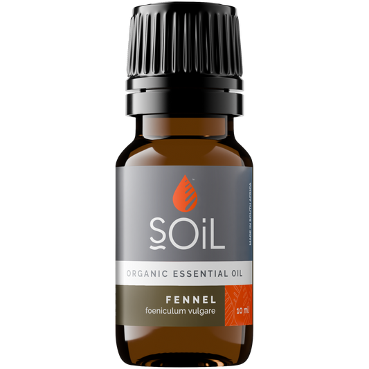 Organic Fennel Essential Oil (Foeniculum Vulgarus) 10ml